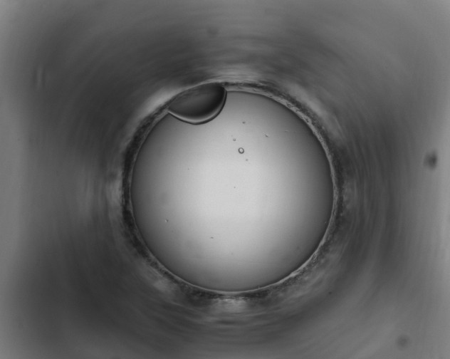 X0000103141315200808291329