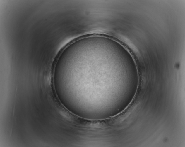 X0000103141316200808291329