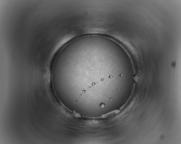 X0000103141317200808291329