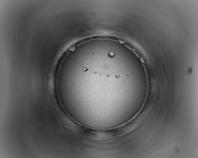 X0000103141318200808291329