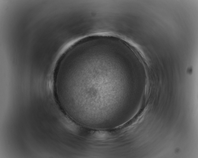 X0000103141319200808291329