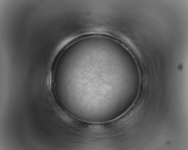 X0000103141320200808291329