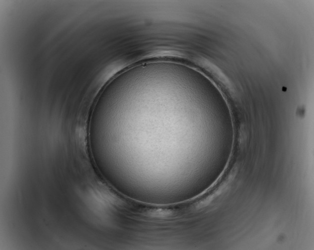 X0000103141321200808291329