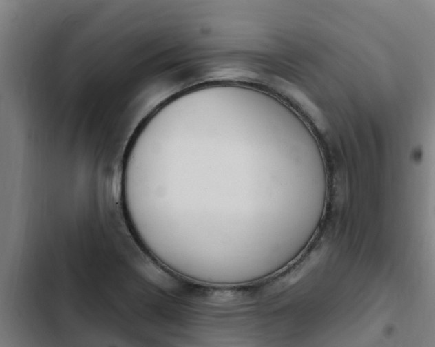 X0000103141322200808291329