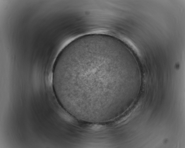 X0000103141324200808291329