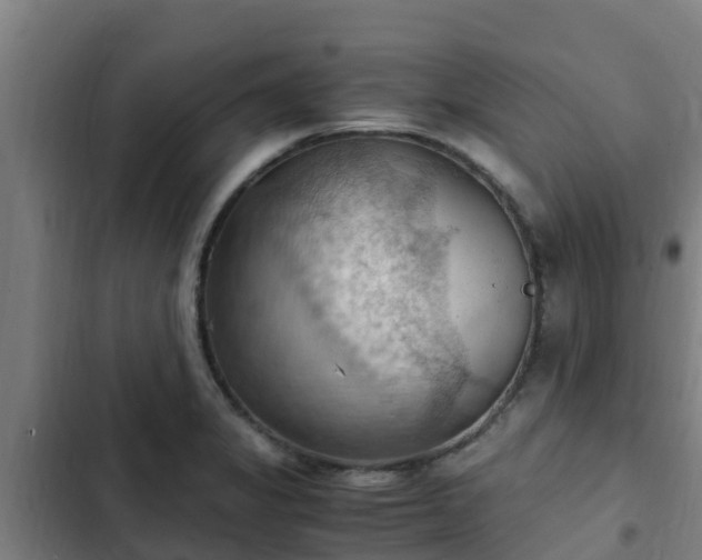 X0000103141325200808291329