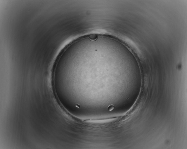 X0000103141326200808291329