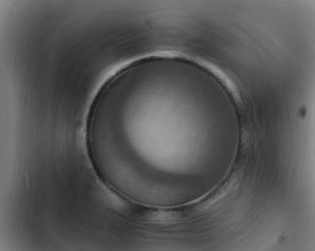 X0000103141327200808291330