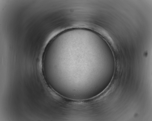 X0000103141328200808291330