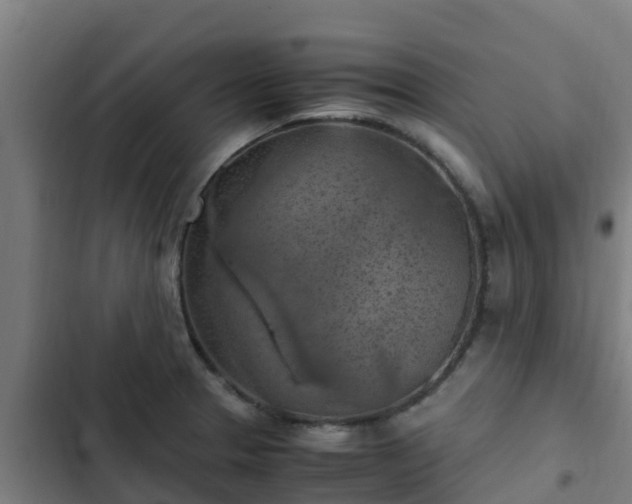 X0000103141329200808291330