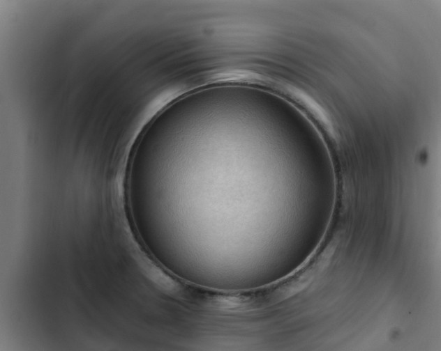 X0000103141330200808291330