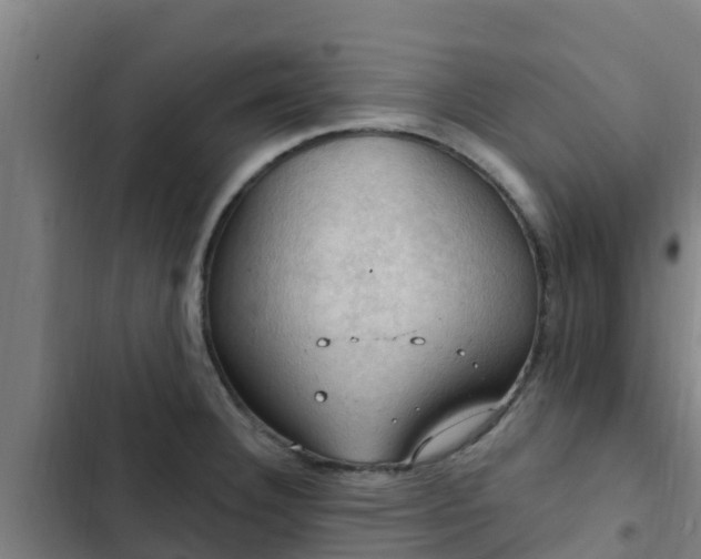 X0000103141332200808291330