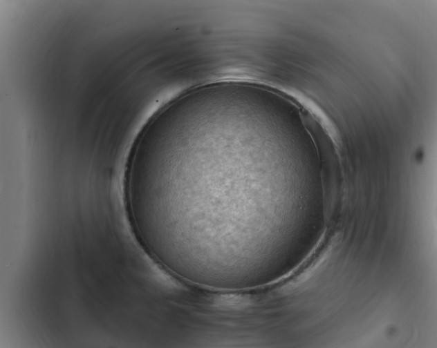 X0000103141333200808291330