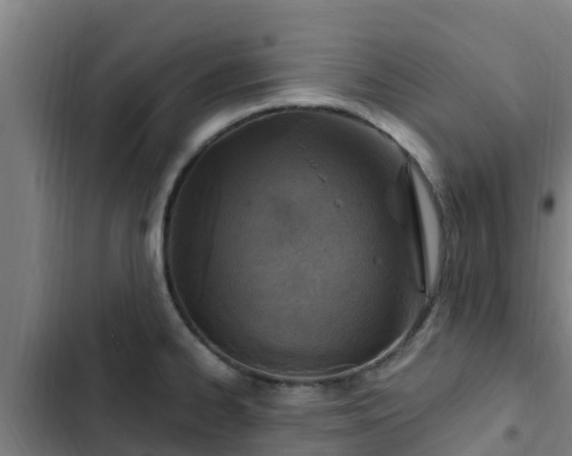 X0000103141334200808291330