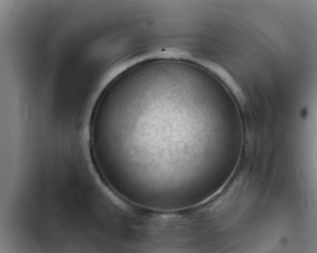 X0000103141335200808291330