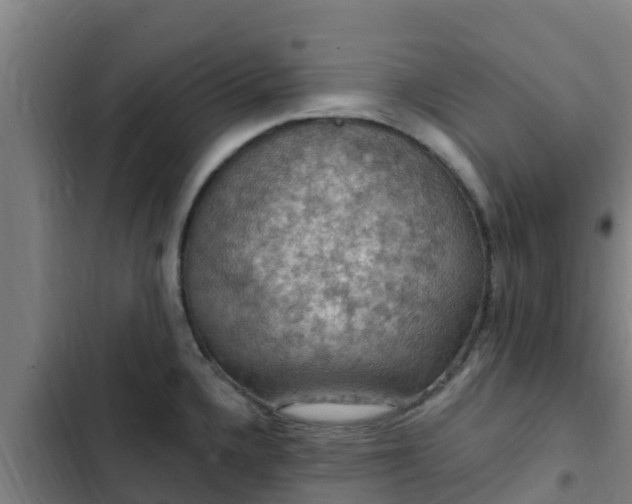 X0000103141336200808291330