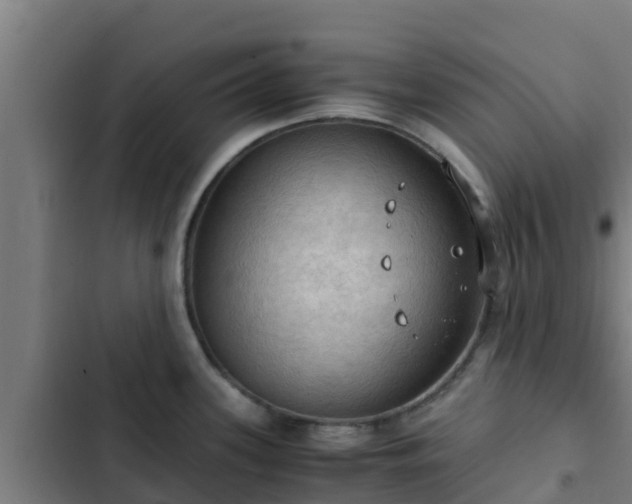 X0000103141339200808291330