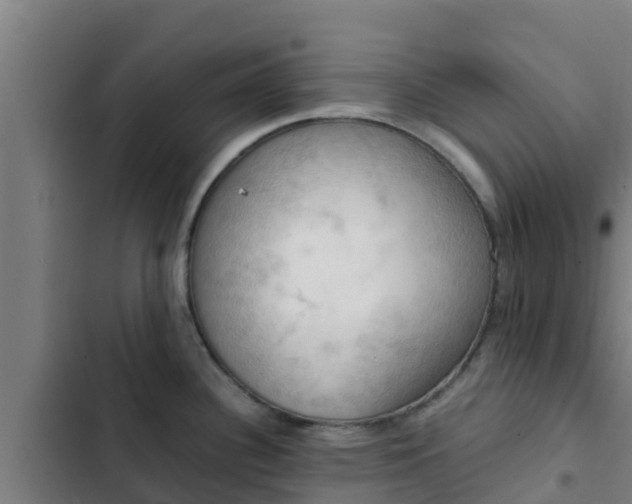 X0000103141340200808291330