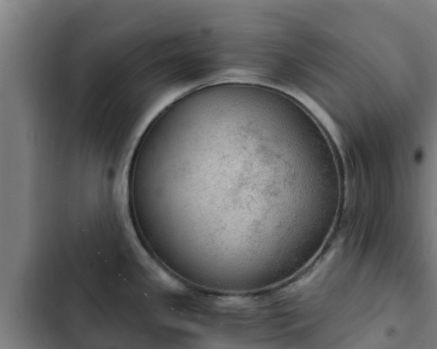 X0000103141341200808291330