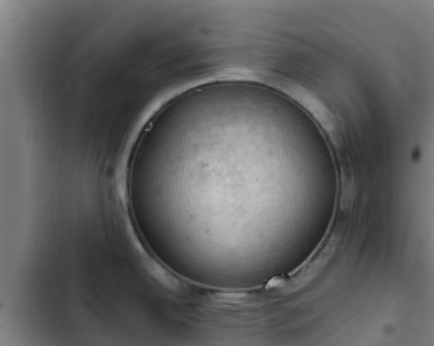 X0000103141342200808291330