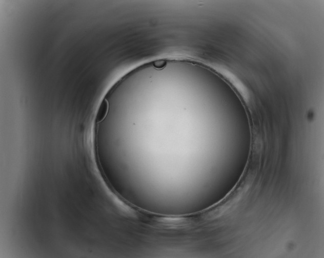 X0000103141343200808291330