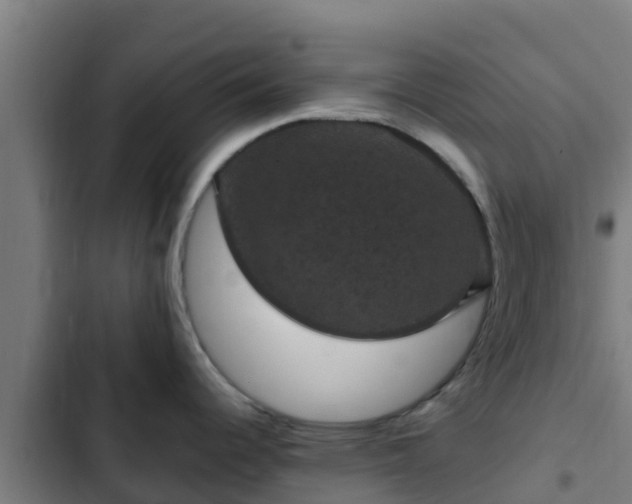 X0000103141344200808291330