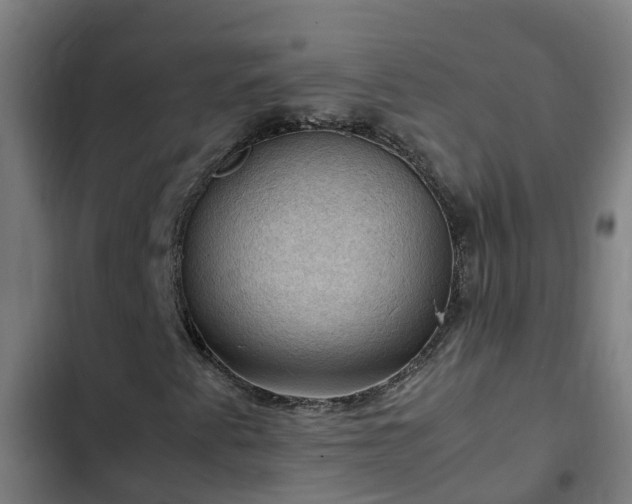 X0000103141345200808291329