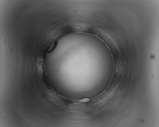 X0000103141346200808291329