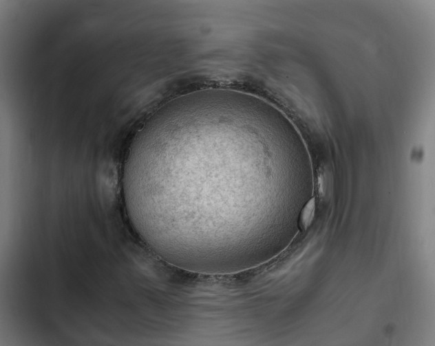 X0000103141347200808291329