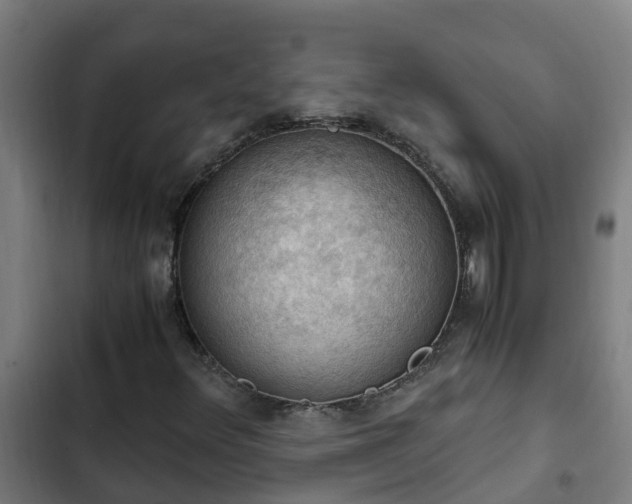 X0000103141348200808291329