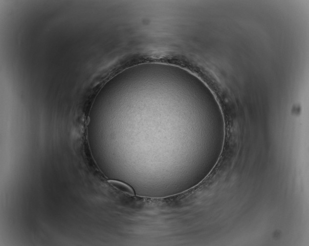 X0000103141349200808291329