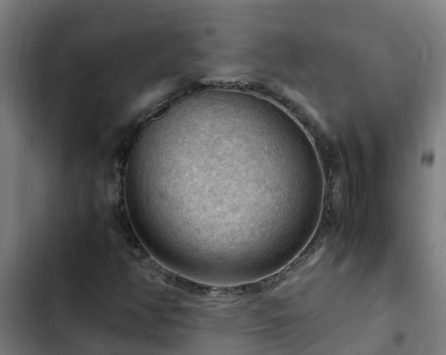 X0000103141350200808291329