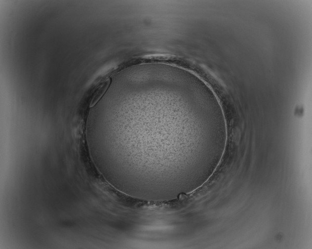 X0000103141351200808291329