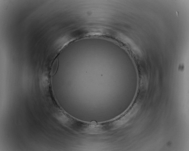 X0000103141353200808291329