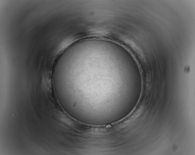 X0000103141354200808291329