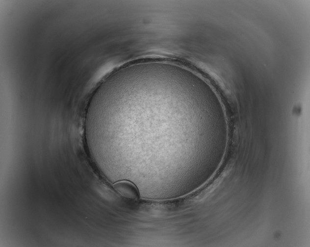 X0000103141355200808291329