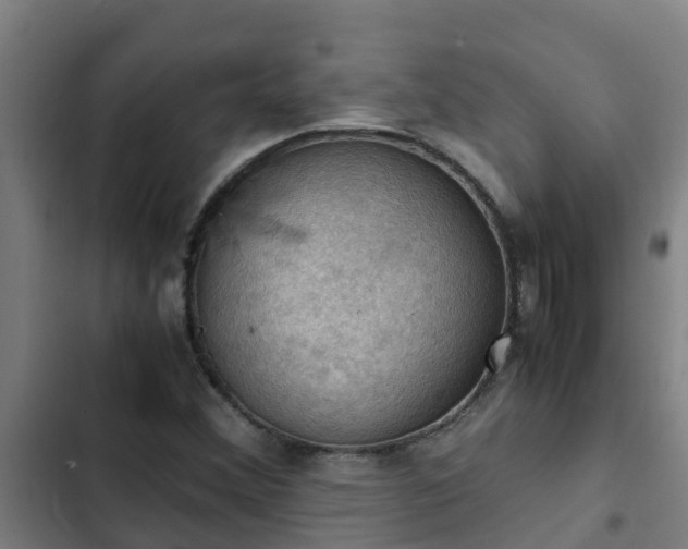 X0000103141356200808291329