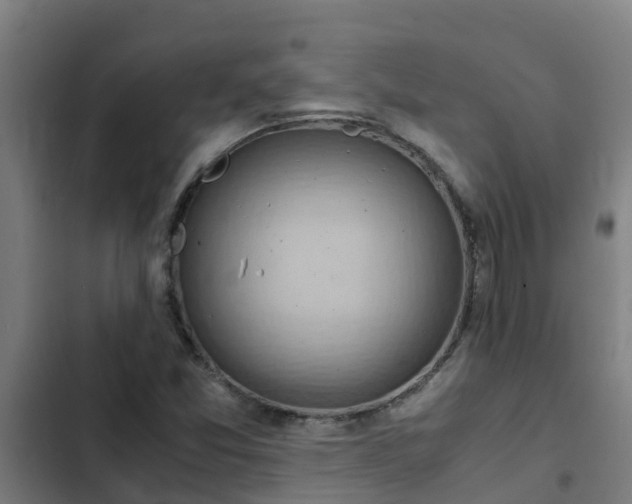 X0000103141357200808291329