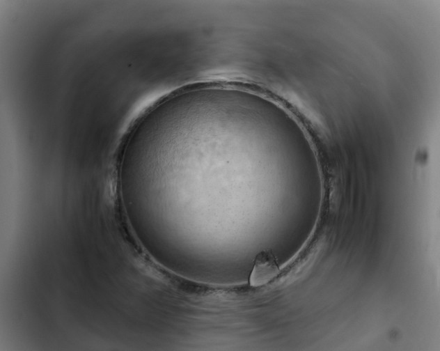 X0000103141358200808291329