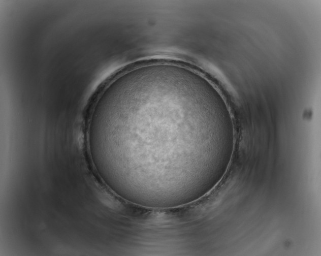 X0000103141360200808291329