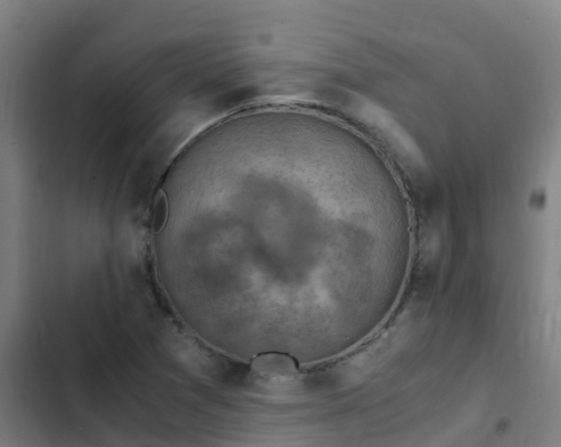 X0000103141361200808291329