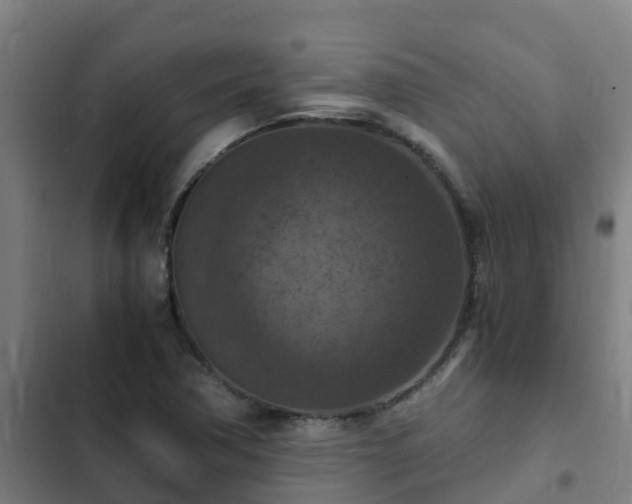 X0000103141362200808291329