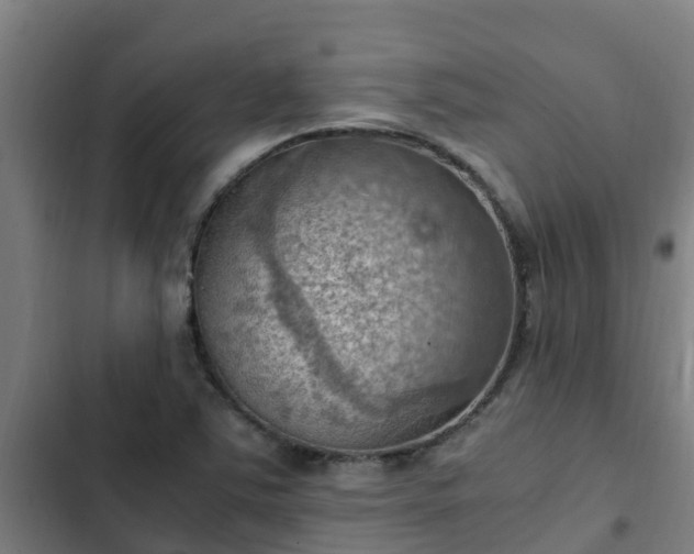 X0000103141363200808291329