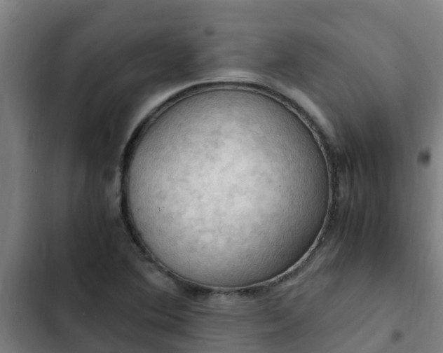 X0000103141364200808291329