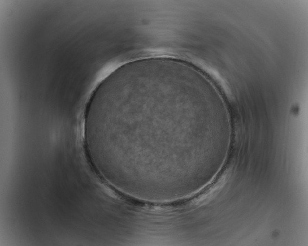 X0000103141365200808291329