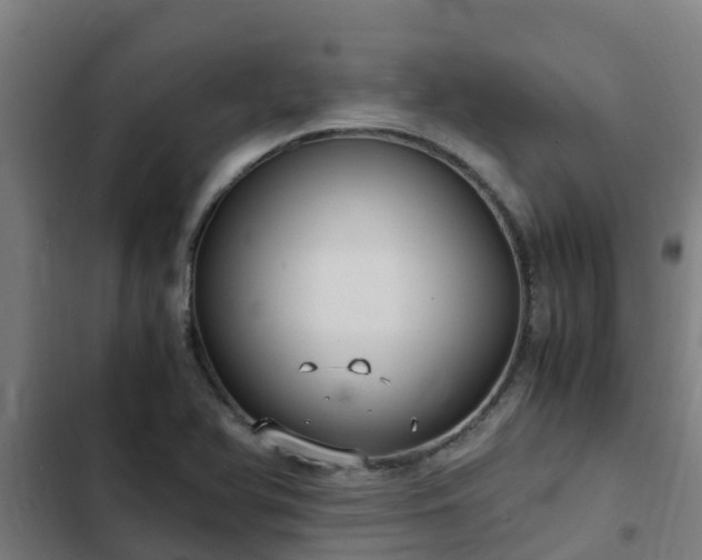 X0000103141366200808291329