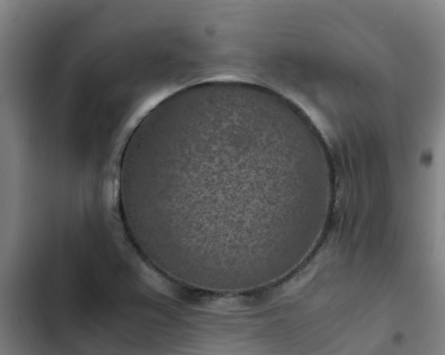 X0000103141367200808291329