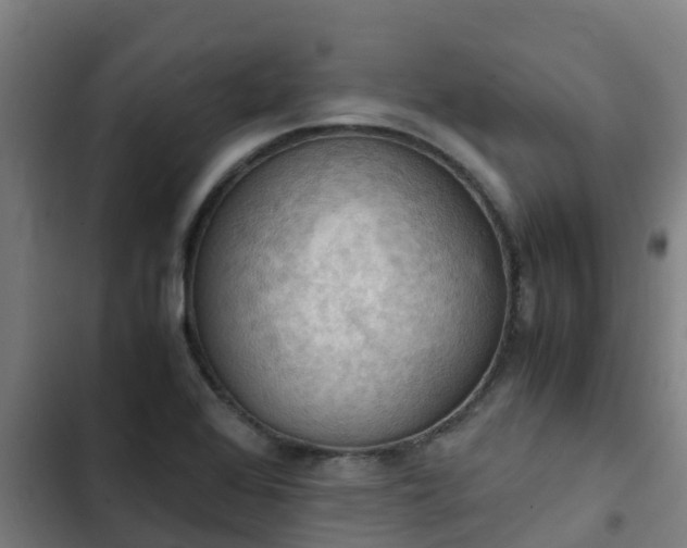 X0000103141368200808291329