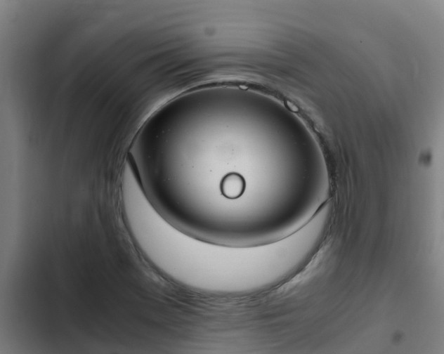 X0000103141369200808291329