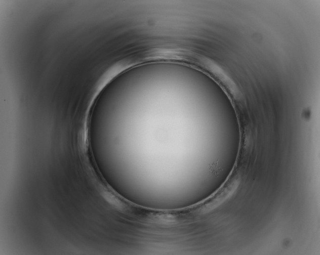 X0000103141370200808291329